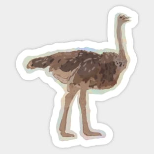 Allegedly - Ostrich Sticker